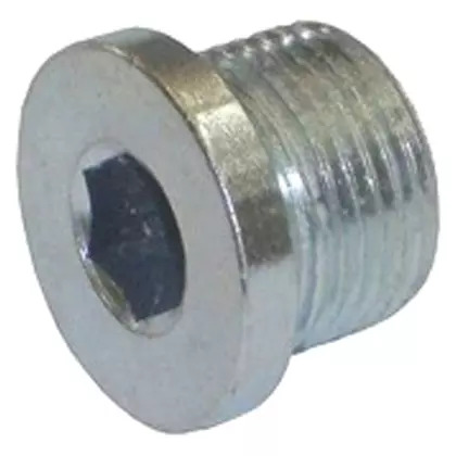 BUJAO ROSCADO BLOCO MOTOR CANAL OLEO M16X1,5 MB MOTORES OM366 OM449 (00090801600