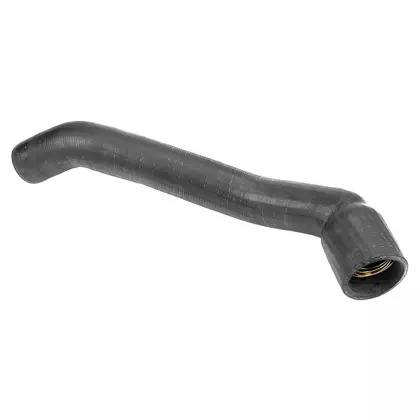 MANGUEIRA (TNR121073.)