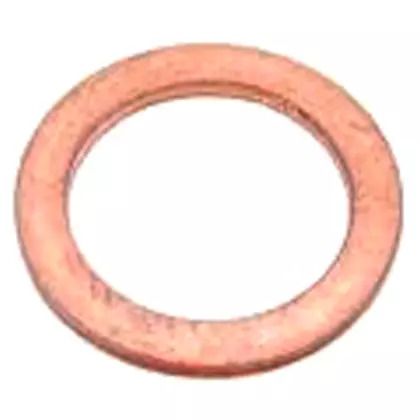 ARRUELA 551999616 (551999616)