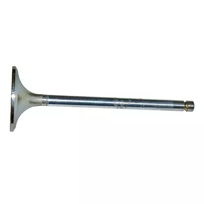 VALVULA ADMISSAO MOTOR CUMMINS SRIE B 5.9L - B/BT/BTA/BTAAVW 16170 12170BT 14170