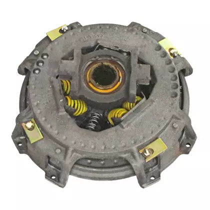 PLATO REMANO ORGANICO (2RS141025AR)