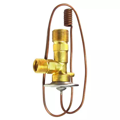 VALVULA EXP ORING 1 CAP 2.0T (RI400104)