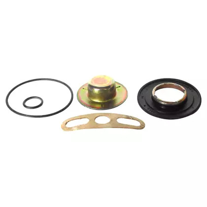 REPARO REGULADOR DE PRESSAO (04183848B)