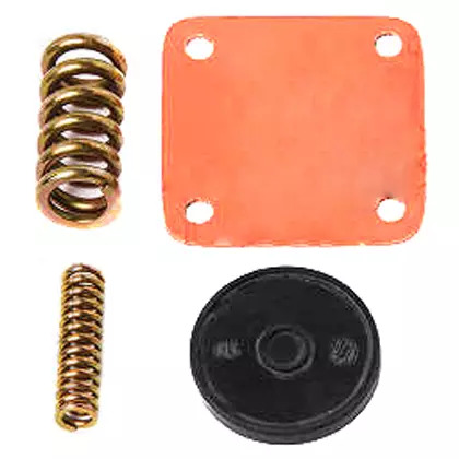 REPARO VALVULA FLUXO (0005865842)