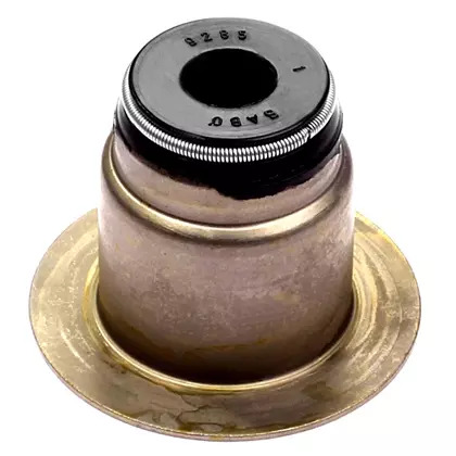 RETENTOR HASTE VALVULAS MOTOR C (TJG109675-S)