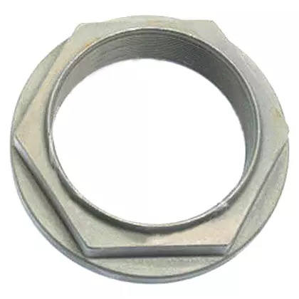 PORCA PONTA PINHAO (3463530072_)