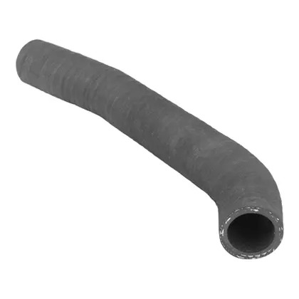 MANGUEIRA RESERVATORIO (1544565.)