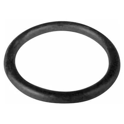 ANEL DE VEDACAO NF384074AAX (NF384074AAX)