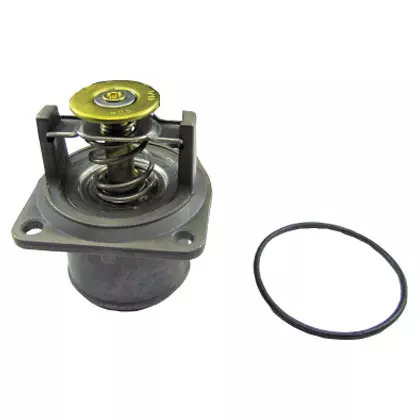 VALVULA TERMOSTATICA REFIL VW 17210 / 17240 / 15180 / 8150 / 8120 MOTOR MWM X10 