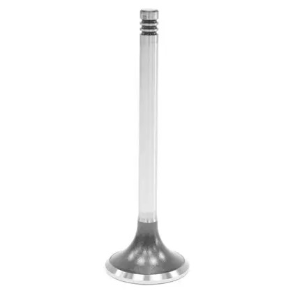 VALVULA ESCAPE MOTOR MWM X12 VW 8150E / 9150E / 17260 / 23260 / 26260 / 31260 MO