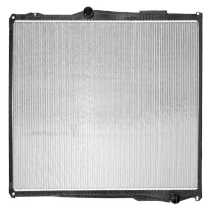 RADIADOR AGUA (1781365)