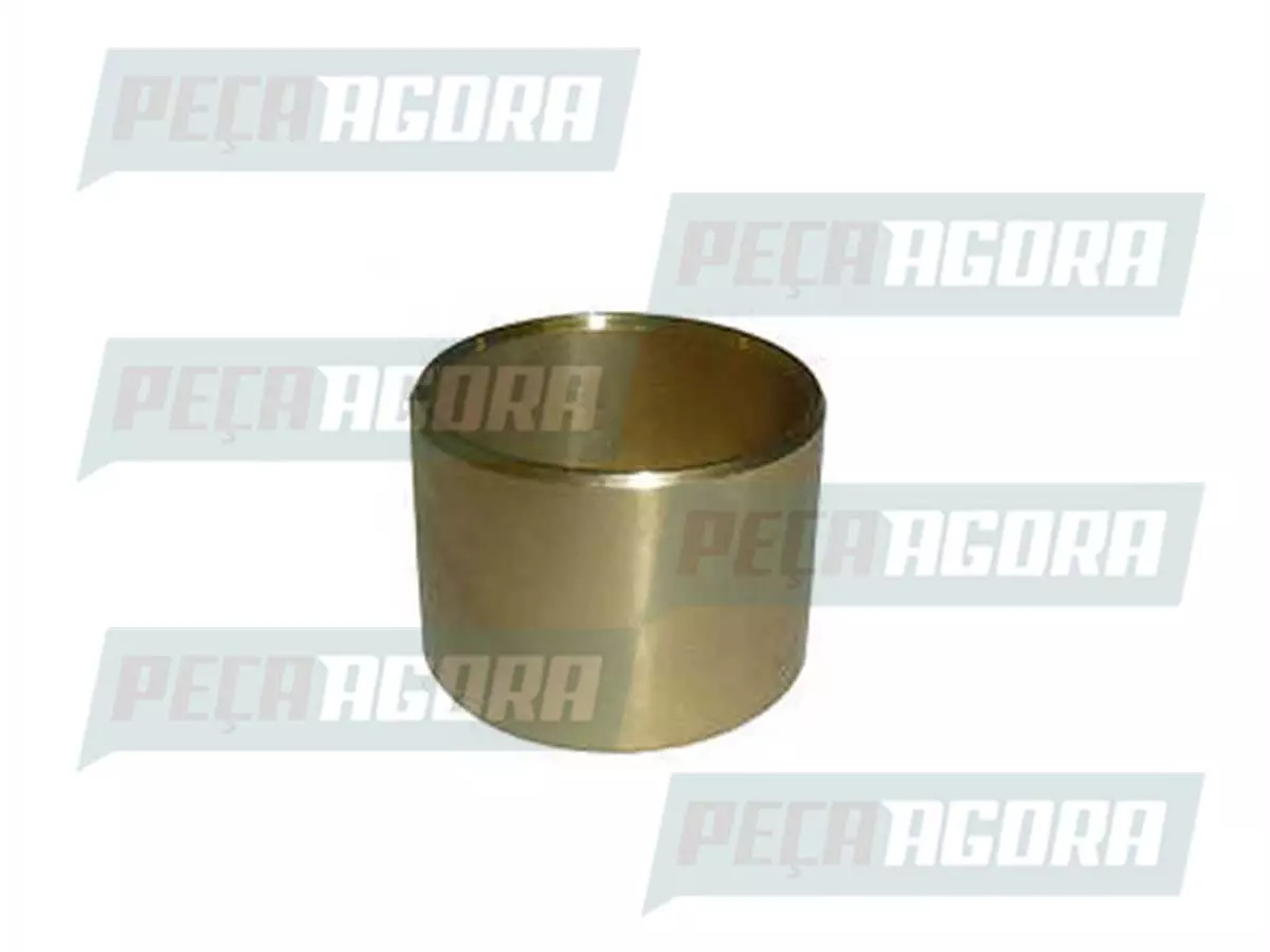 BUCHA PATIM TRASEIRO E CARCACA EMBREAGEM FE PARA SCANIA TODOS  (141163|)