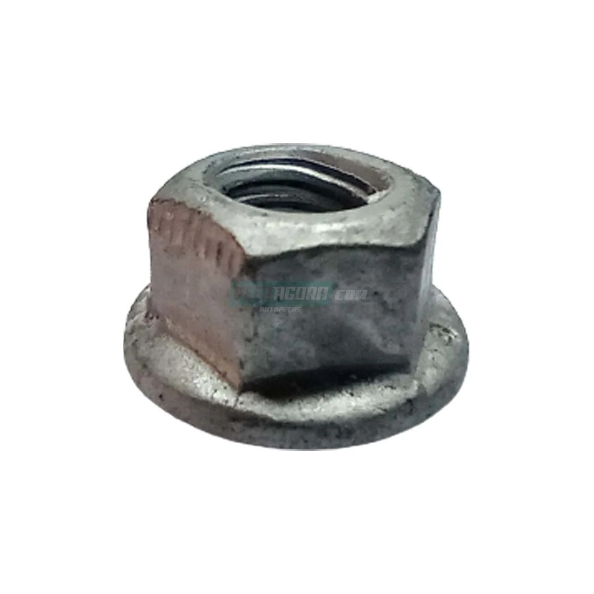 PORCA SEXTAVADA N89 (N910112008000)