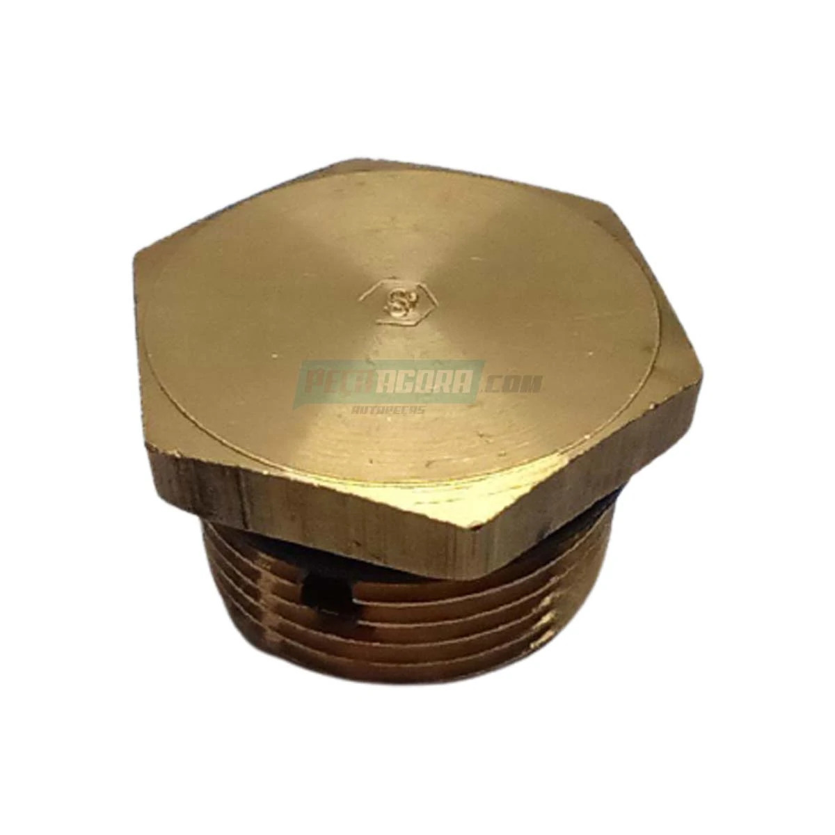 BUJAO DO RESERVATORIO DE AR COMPRIMIDO  (0029973030)