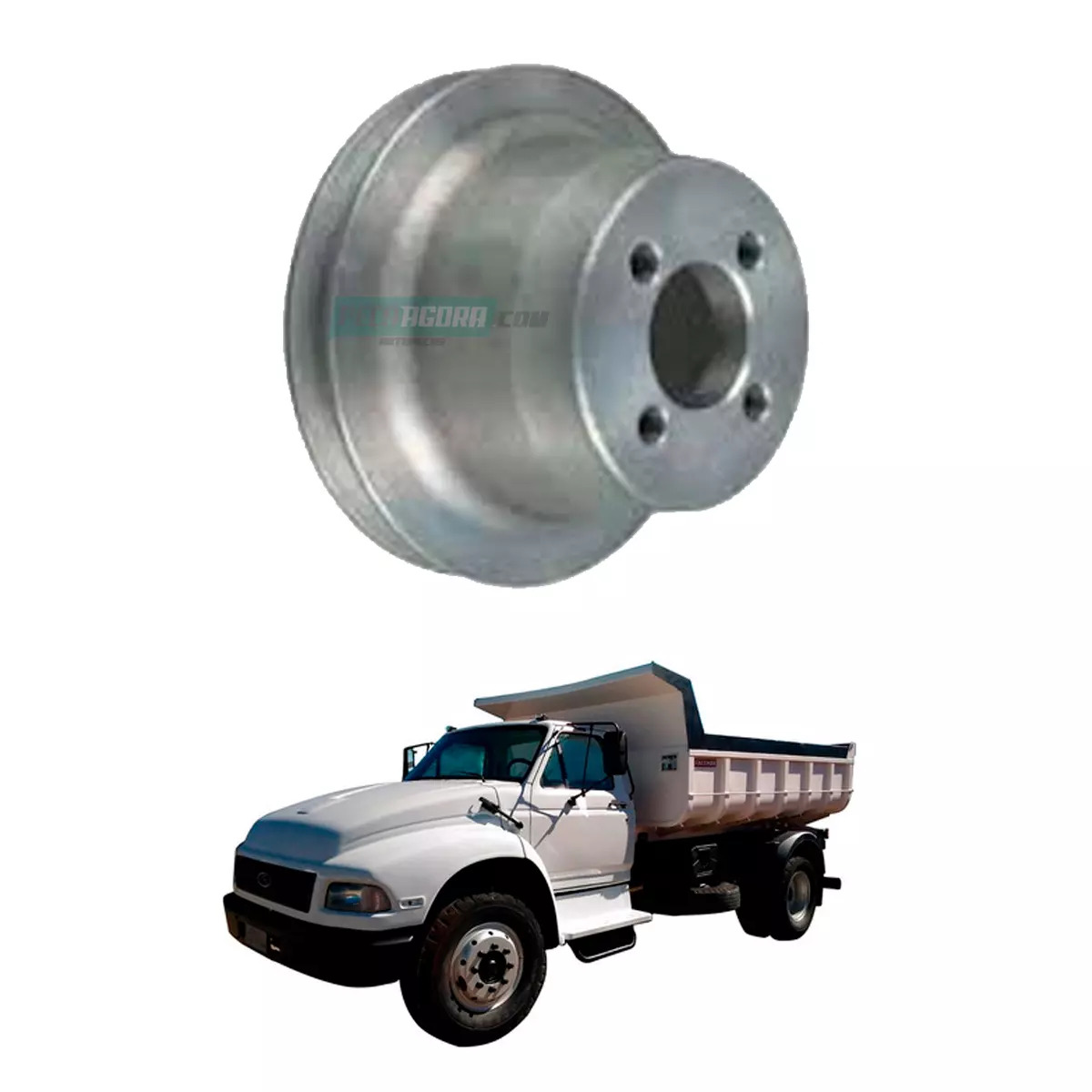 POLIA BOMBA DAGUA MWM 229 925503810024 VW FORD F12000 F14000 (925503810024)