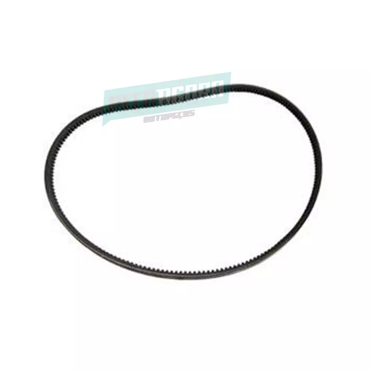 CORREIA MOTOR 13X1000 MB 13X1000 OM352 OM352A O364 OH1313 OH1318 (0059976892.)