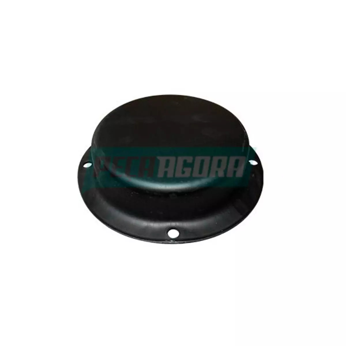 TAMPA CALOTA CUBO RODA CARRETAS E TRUCK 4 FUROS (1269001024)