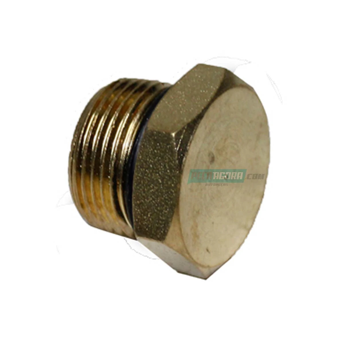 BUJAO FREIO M22X1,5 COM ANEL  (VC1148.)