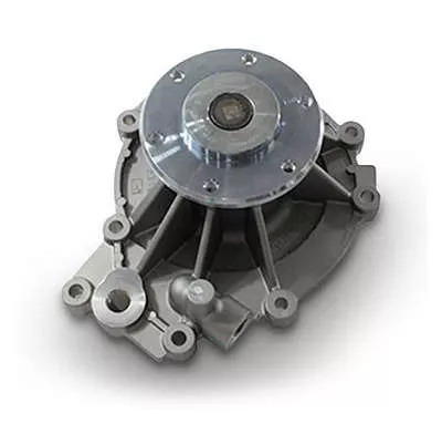 BOMBADAGUAMAN (07W121011C-07W121011C-61065006701-BZ0946)