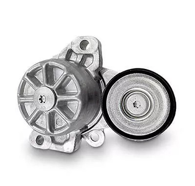 TENSORDECORREIAMBACTROS (4702001670-BZ2082)