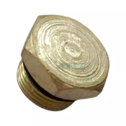 BUJAO TAMPAO MACHO COM ORING  (007604021201.-.)