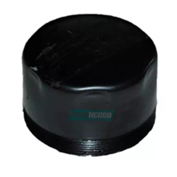 TAMPA CALOTA CUBO RODA DIANTEIRO AGRALE VOLARE W9 2009 DIANTE (6010008008008,)