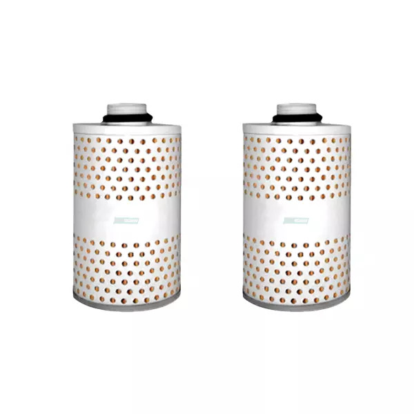 CAIXA ELEMENTO FILTRANTE PARA FILTRO SEPARADOR DE AGUA 2 UNIDADES (CX.9180FN**2)