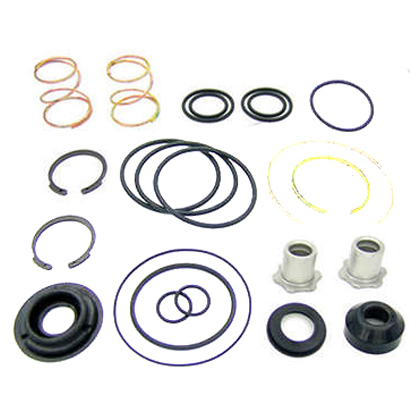 REPARO VALVULA PEDAL SEDE LISA  (600700561007-Q)