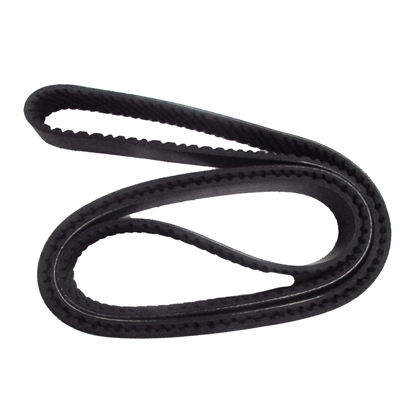 CORREIA 1354391 (1354391)