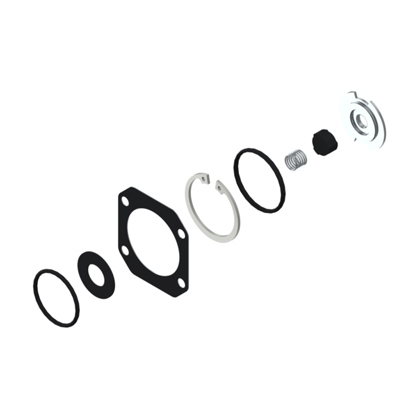 REPARO VALV LIMITADORA PRESSAO (4750100002)