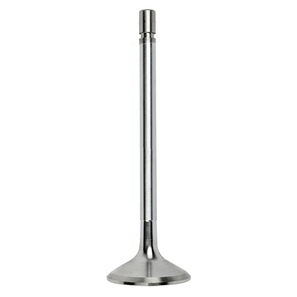 VALVULA ADMISSAO (3520530101.,)