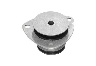 COXIM FIXACAO DA CABINE DIANTEIRO PARA IVECO DAILY 35S14 45S14 45S16 55C16  2008