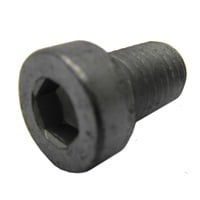 PARAFUSO ANEL DESGASTEJOST E MAXION 2", ALLEN, M14X2.00 X 22MM (260000054,)