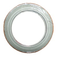 RETENTOR RODA TRASEIRA AGRALE VOLARE W8 W9 TODOS COM EIXO MERITOR MS13113 MA10 M