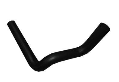 MANGUEIRA INF RADIADOR (503104663)