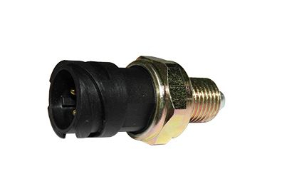 INTERRUPTOR LUZ REMBB 1728/2423B/2423K/L1622/L1624 / VOLVO VM17/VM23/VM260 (0002