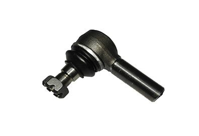 TERMINAL BARRA LONGA ESQ VM 240 210 260  (20828528)