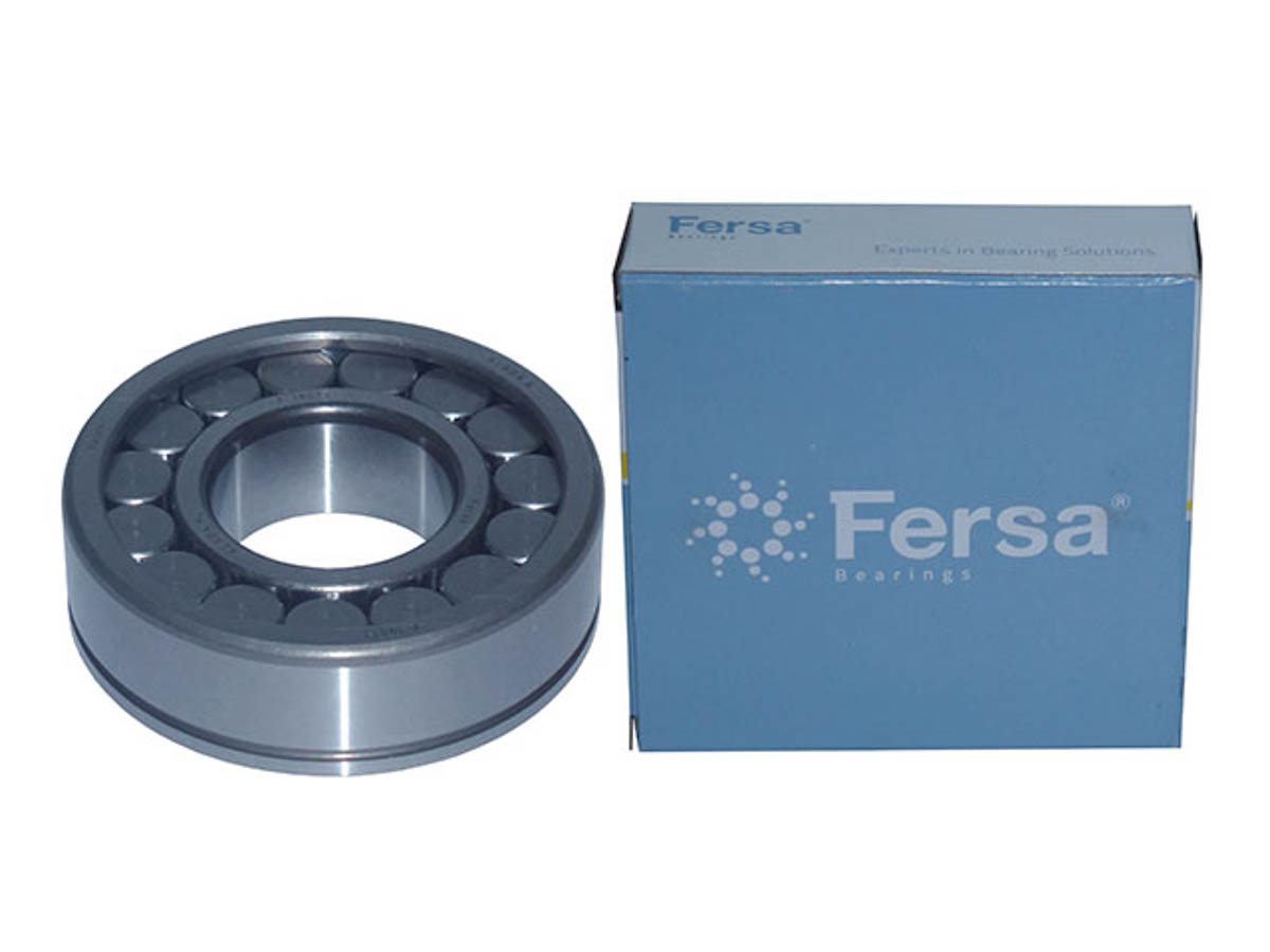 ROLAMENTO ROLETES F19013/F210540 (0079817901-)