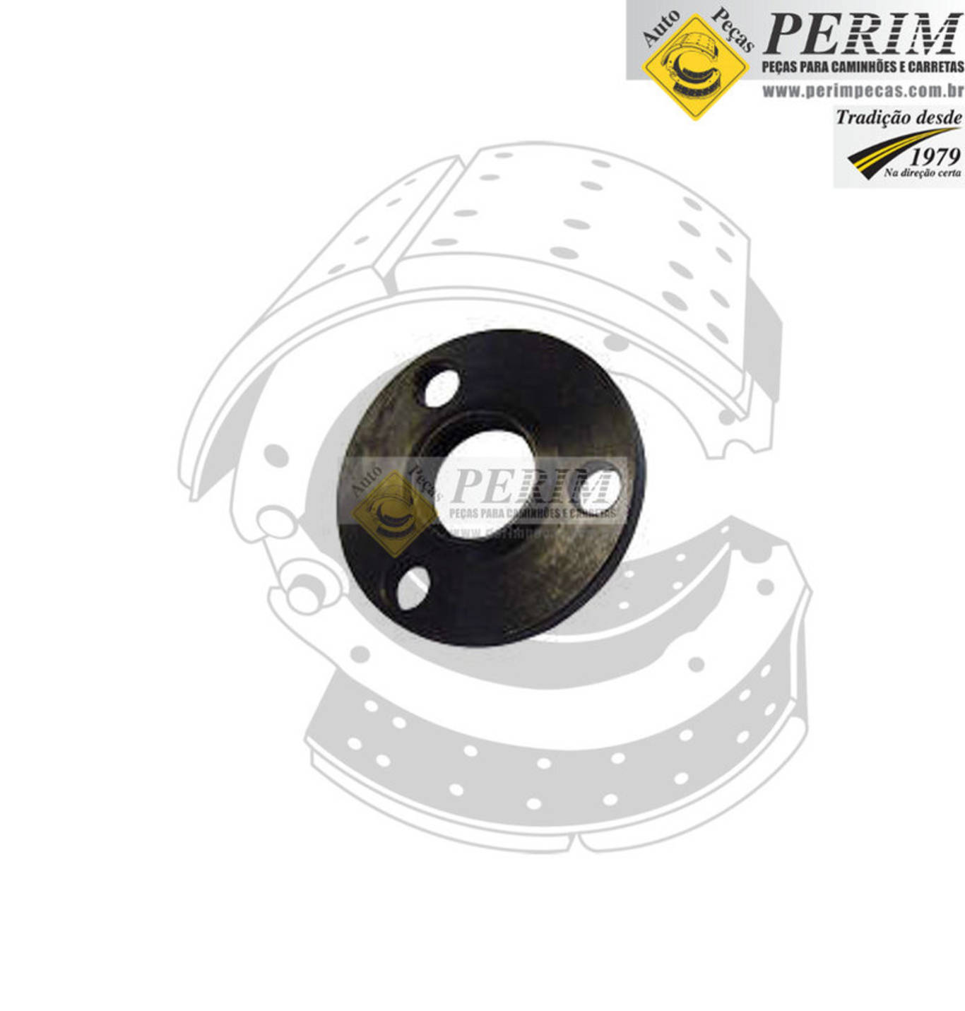 ARRUELA ANTIEXPLOSAO FIAT FORD MERCEDES BENZ PARA SCANIA VOLVO (251340)