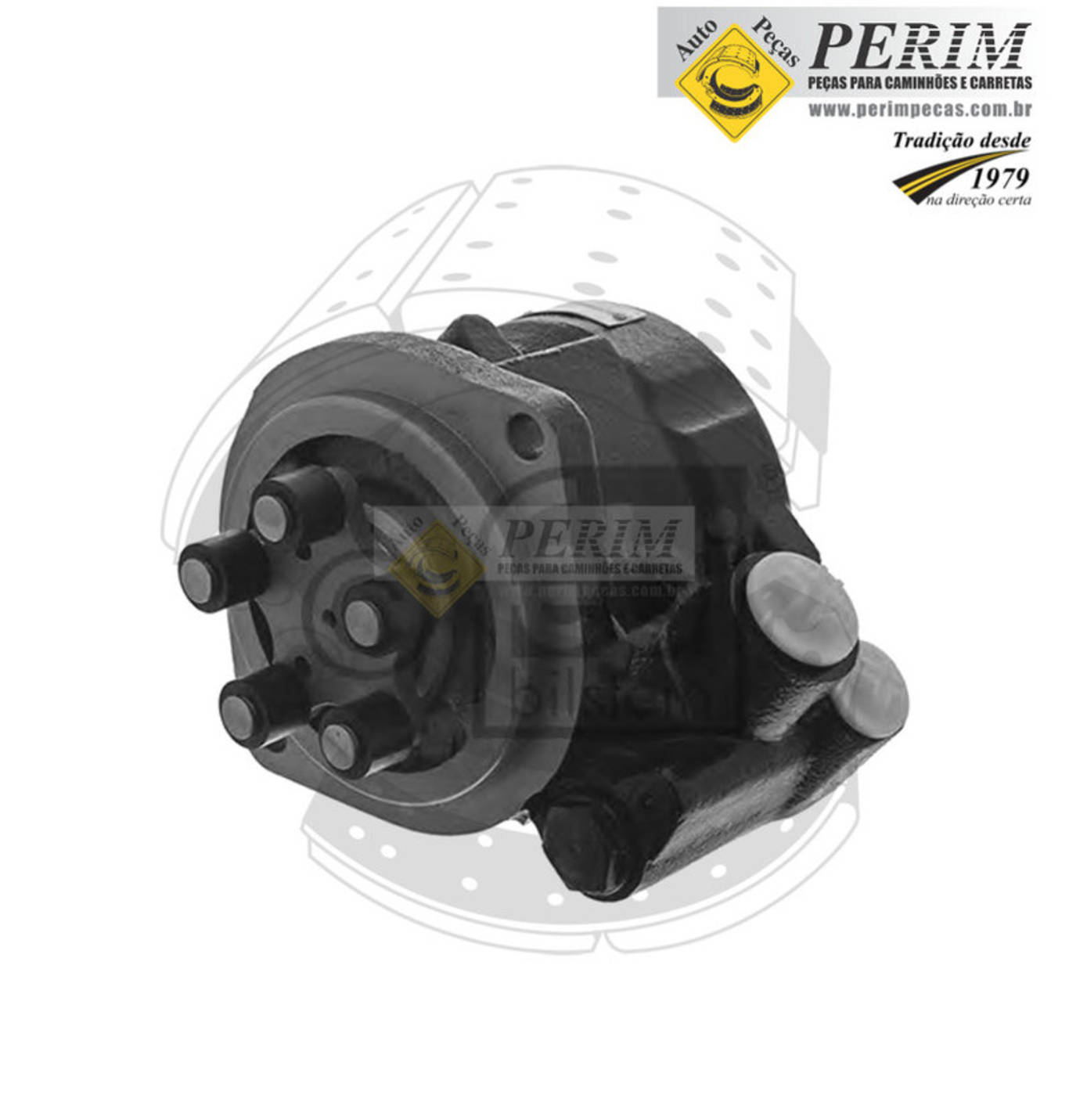 BOMBA DIRECAO HIDRAULICA PARA SCANIA BR116 L111 LS111 LT111 RK424 RK425 (259309)