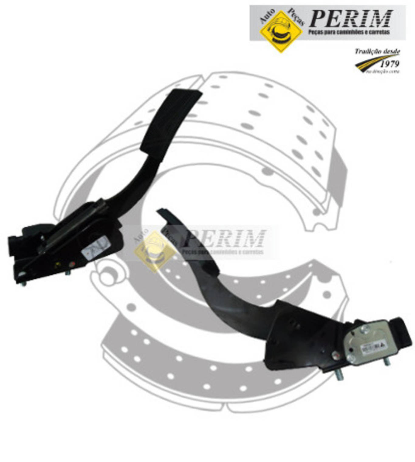 KIT PEDAL ELETRONICO 8150E WORKER COM CONECTOR (1000754233.)