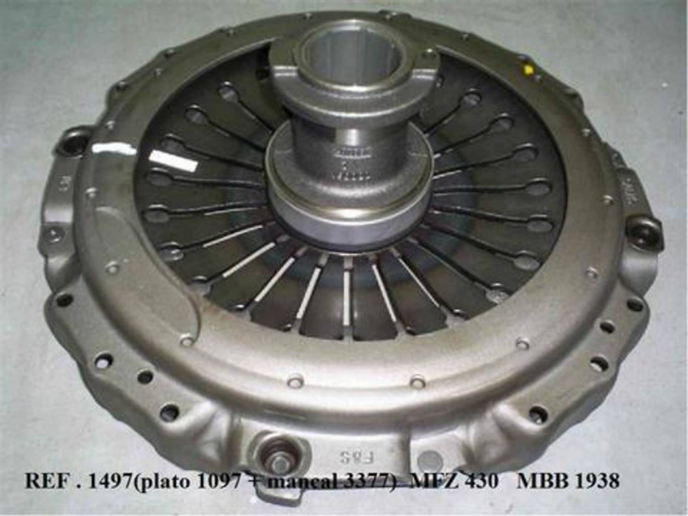 CARCACA NO ESTADO (1497C)