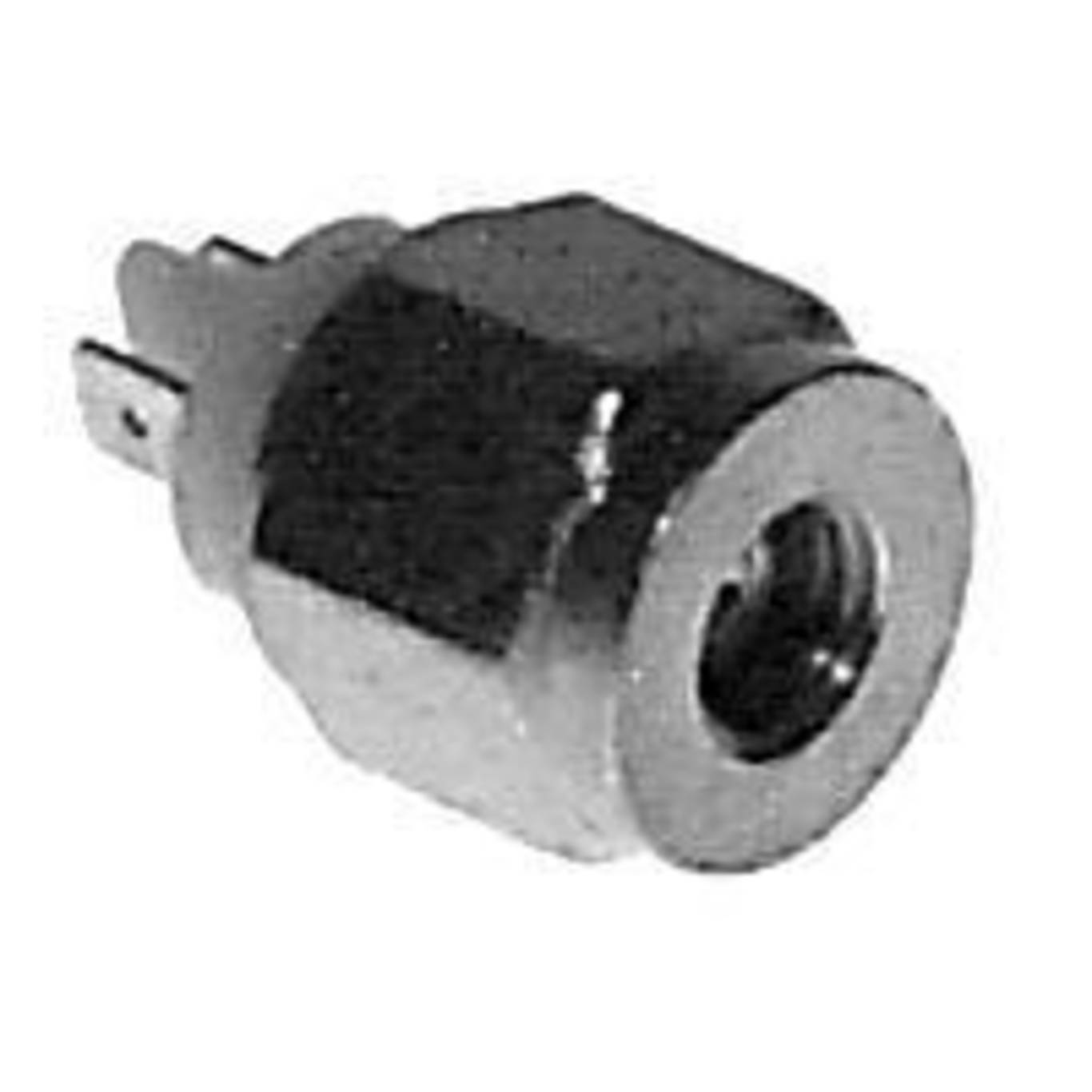 INTERRUPTOR FREIO PNEUMATICO (532296.,)