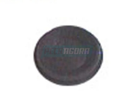 CAIXA 10 TAPA FURO MAIOR DIREITO E ESQUERDO 29X32X6.5MM PARA SCANIA L110 L111 (C