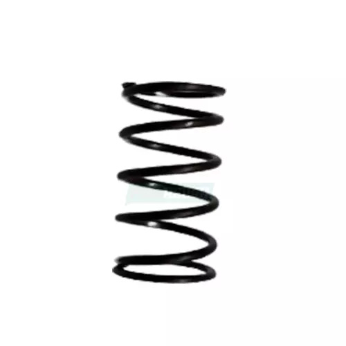 MOLA VALVULAS TOP BRAKE 0M904-924-906-926 (9069930901)