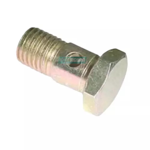 PARAFUSO BANJO (TAR699663,)