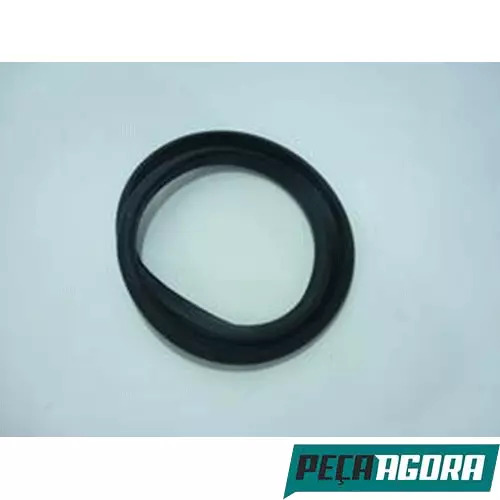 BORRACHA DO VIDRO DO CANTO VOLVO NL10 NL12 89 EM DIANTE (8126391)