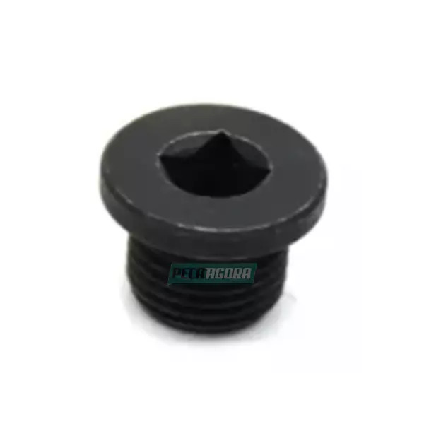 BUJAO TAMPAO ALLEN ROSCADO (602062100810E)