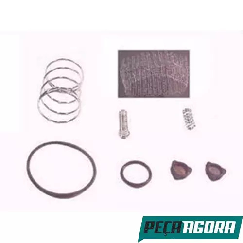 REPARO GARRAFA AR COM ELEMENTO FILTRO MERCEDES BENZ L1111 (0005910097)