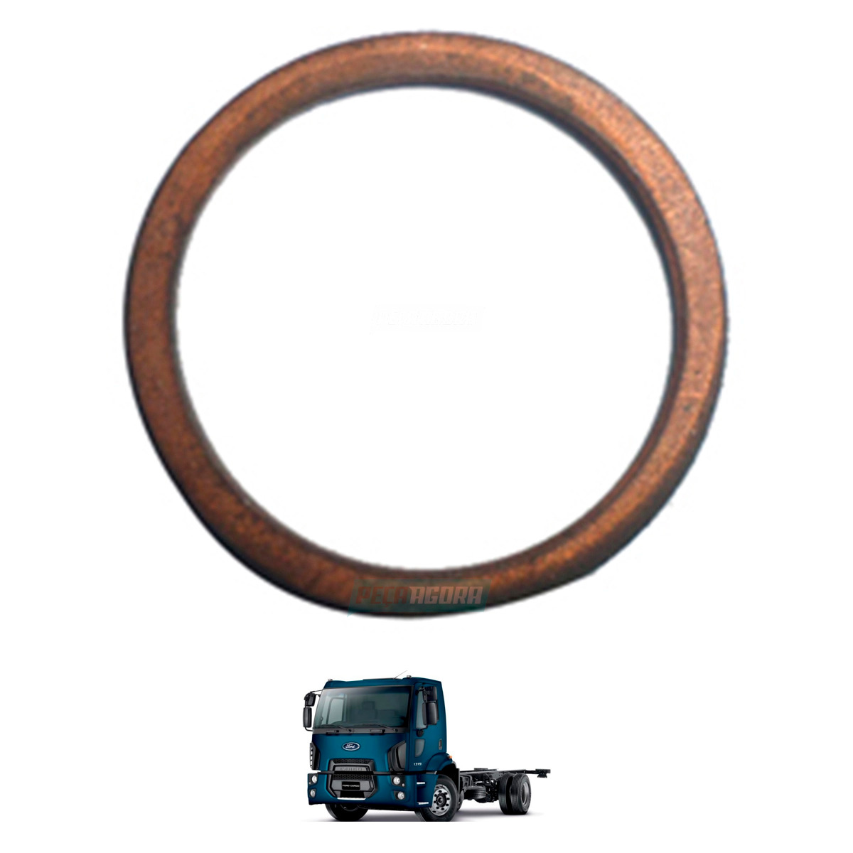 ANEL BUJAO CARTER PARA FORD NOVO CARGO TODOS (TE3103119,)